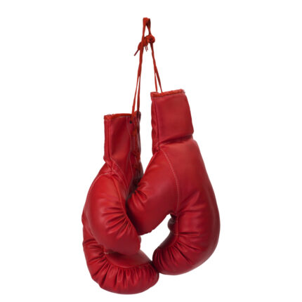 Boxing Gloves